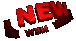 news novità